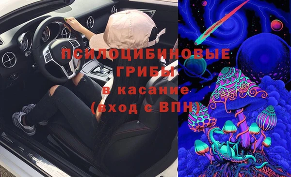 крисы Верея