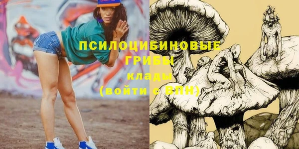 ПСИЛОЦИБИНОВЫЕ ГРИБЫ Верхний Тагил