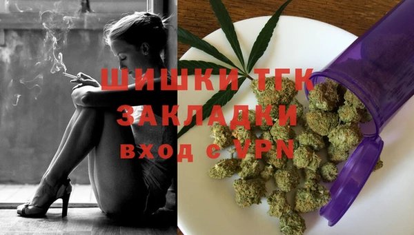 крисы Верея