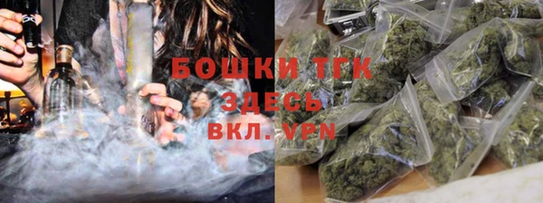 крисы Верея