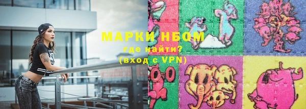крисы Верея